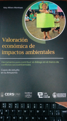 VALORACION ECONOMICA DE IMPACTOS AMBIENTALES