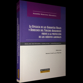 LA EFICACIA DE LAS GARANT�AS REALES Y DERECHOS DEL TERCERO ADQUIRIENTE FRENTE A LA PROTECCION DE LOS CR�DITOS LABORALES
