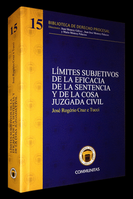 L�MITES SUBJETIVOS DE LA EFICACIA DE LA SENTENCIA Y DE LA COSA JUZGADA CIVIL