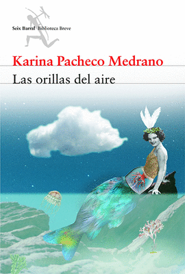 LAS ORILLAS DEL AIRE