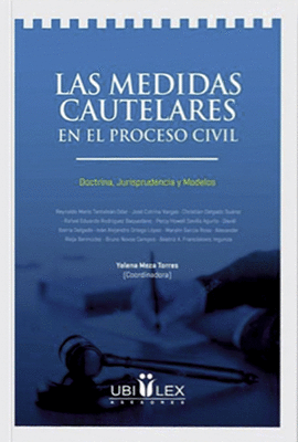 LAS MEDIDAS CAUTELARES EN EL PROCESO CIVIL