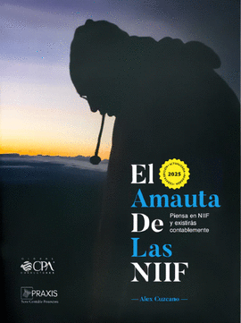EL AMAUTA DE LAS NIIF