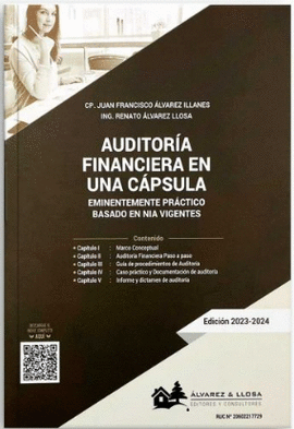 AUDITORA FINANCIERA EN UNA CPSULA