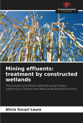 MINING EFFLUENTS TREATMENT BY CONSTRUCTED WETLANDS