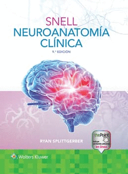 NEUROANATOMA CLNICA