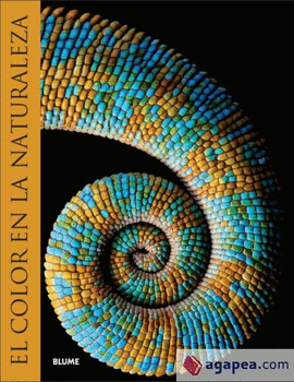 EL COLOR EN LA NATURALEZA