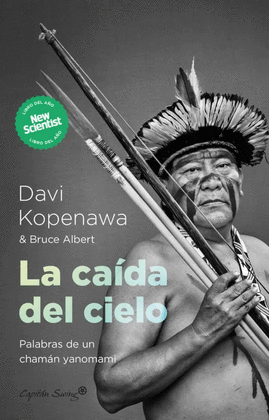 LA CADA DEL CIELO