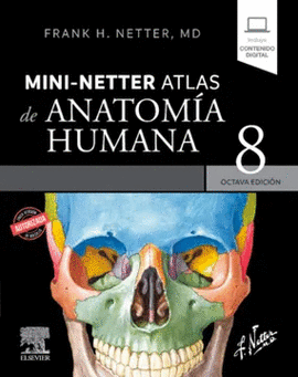MINI-NETTER. ATLAS DE ANATOMA HUMANA