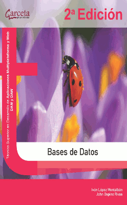 BASES DE DATOS