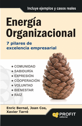 ENERGIA ORGANIZACIONAL 7 PILARES DE EXCELENCIA EMPRESARIAL