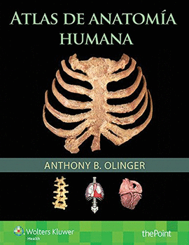 ATLAS DE ANATOMA HUMANA
