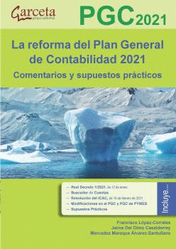 LA REFORMA DEL PLAN GENERAL DE CONTABILIDAD