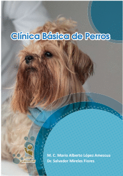CLINICA BASICA DE PERROS