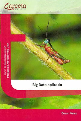 BIG DATA APLICADO