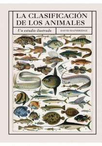 LA CLASIFICACION DE LOS ANIMALES