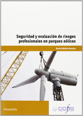 SEGURIDAD Y EVALUACI�N DE RIEGOS PROFESIONALES EN PARQUE E�LICOS