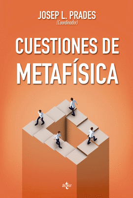 CUESTIONES DE METAFSICA. SERIE DE FILOSOFA DE LA SOCIEDAD ESPAOLA DE FILOSOFA ANLITICA