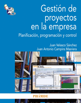 GESTIN DE PROYECTOS EN LA EMPRESA