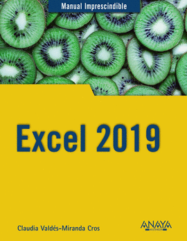 EXCEL 2019