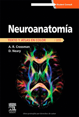 NEUROANATOMIA