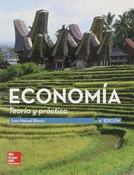 ECONOMIA TEORIA Y PRACTICA