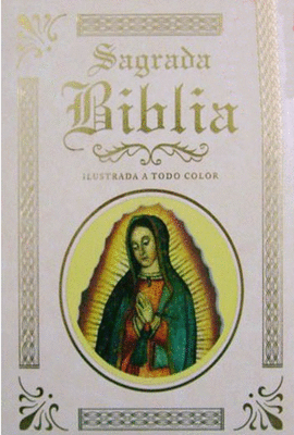 SAGRADA BIBLIA ILUSTRADA A TODO COLOR