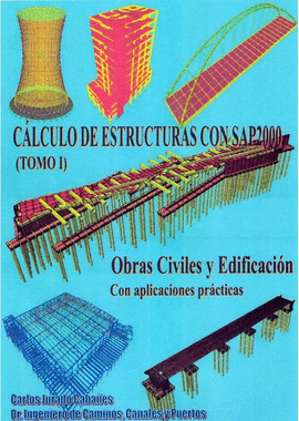 CLCULO DE ESTRUCTURAS CON SAP2000