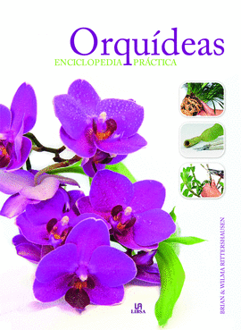 ORQU�DEAS