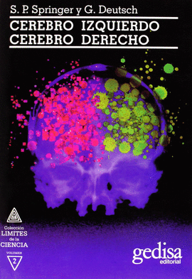 CEREBRO IZQUIERDO, CEREBRO DERECHO