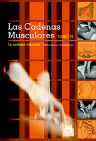 LAS CADENAS MUSCULARES VI LA CADENA VISCERAL