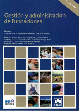 GESTION Y ADMINISTRACION DE FUNDACIONES