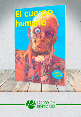 EL CUERPO HUMANO