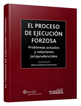 EL PROCESO DE EJECUCI�N FORZOSA
