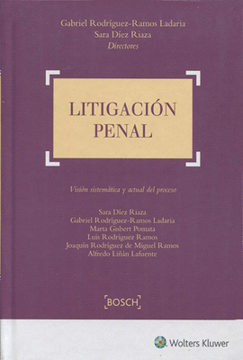 LITIGACIN PENAL