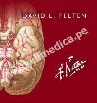 NETTER. FLASHCARDS DE NEUROCIENCIA