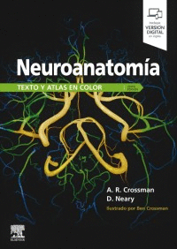 NEUROANATOMIA