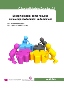 EL CAPITAL SOCIAL COMO RECURSO DE LA EMPRESA FAMILIAR: