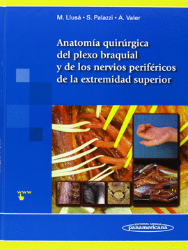 ANATOMIA QUIRURGICA DEL PLEXO BRAQUIAL Y NERVIOS PERIFERICOS DE LA EXTREMIDAD SUPERIOR