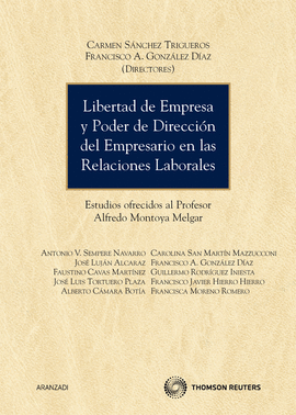 LIBERTAD DE EMPRESA Y PODER DE DIRECCION DEL EMPRESARIO EN LAS RELACIONES LABORALES