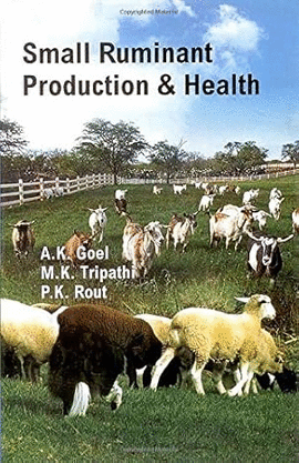SMALL RUMINANT PRODUCTION & HEALTH