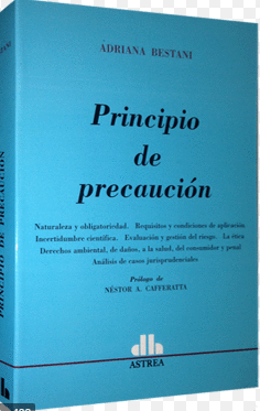 PRINCIPIO DE PRECAUCIN