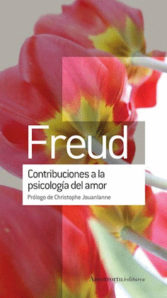 CONTRIBUCIONES A LA PSICOLOGA DEL AMOR