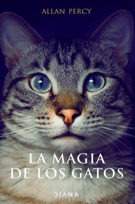 LA MAGIA DE LOS GATOS