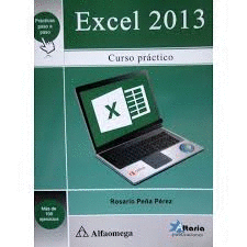EXCEL 2013