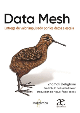 DATA MESH