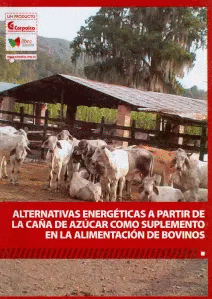 ALTERNATIVAS ENERGETICAS A PARTIR DE LA CA�A DE AZUCAR COMO SUPLEMENTO EN LA ALIMENTACION DE BOVINOS