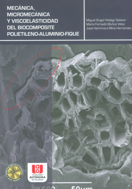 MECANICA MICROMECANICA Y VISCOELASTICIDAD DEL BIOCOMPOSITE POLIETILENO ALUMINIO FIQUE
