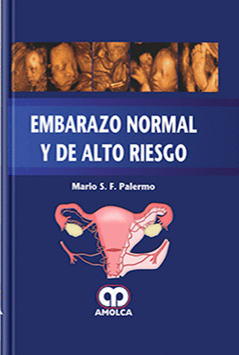 EMBARAZO NORMAL Y DE ALTO RIESGO