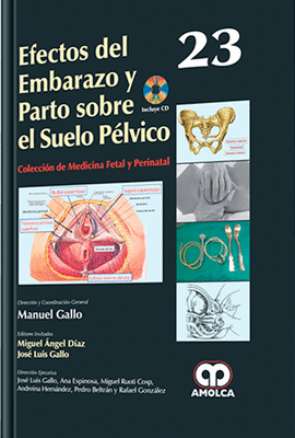 EFECTOS DEL EMBARAZO Y PARTO SOBRE EL SUELO PELVICO 23