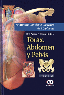 ANATOMA CONCISA E ILUSTRADA DE LIPPINCOTT - TORAX, ABDOMEN Y PELVIS